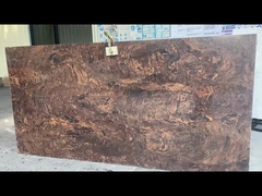 OLR1006 - 2/3cm Kuarsa Slab Antimikroba Dan Anti-pewarnaan Properti